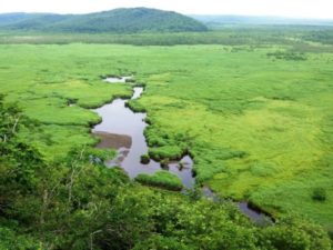 網走・知床・釧路～ひがし北海道満喫3日間の社員旅行モデルプラン～