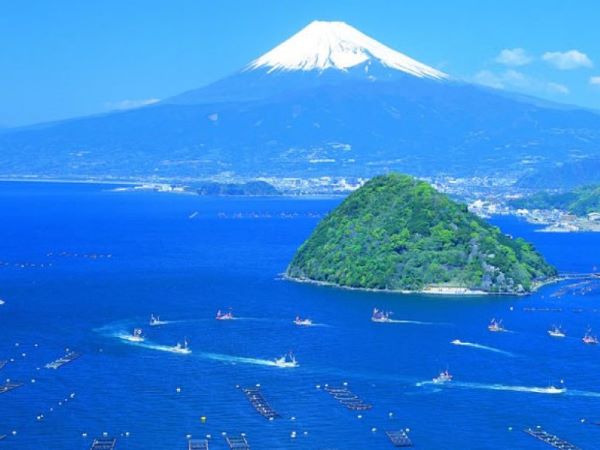 東海・静岡の絶景と輝く駿河湾 社員旅行2日間