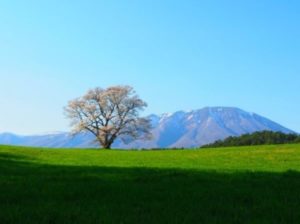 盛岡・花巻・平泉　岩手県への社員旅行2日間モデルプラン