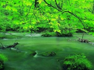 青森の自然・伝統文化をまるごと満喫する社員旅行2日間